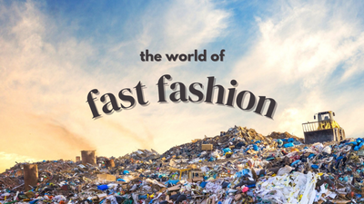 The Pros and Cons of Fast Fashion: Unveiling the Fashion Industry's Influence on Your Wallet and the Environment (Part 1)