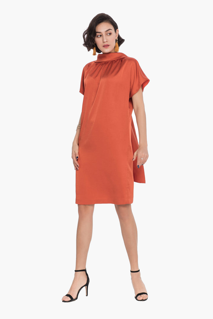 Lined Shift Dress with Back Drop-Collar and Tie