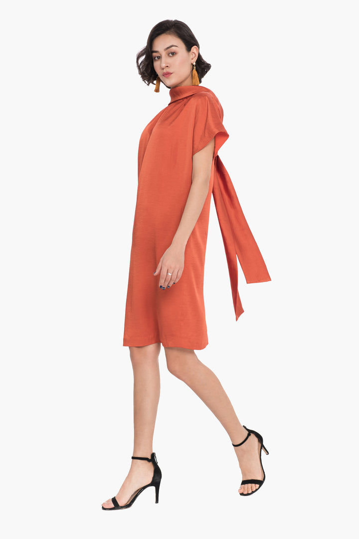 Lined Shift Dress with Back Drop-Collar and Tie