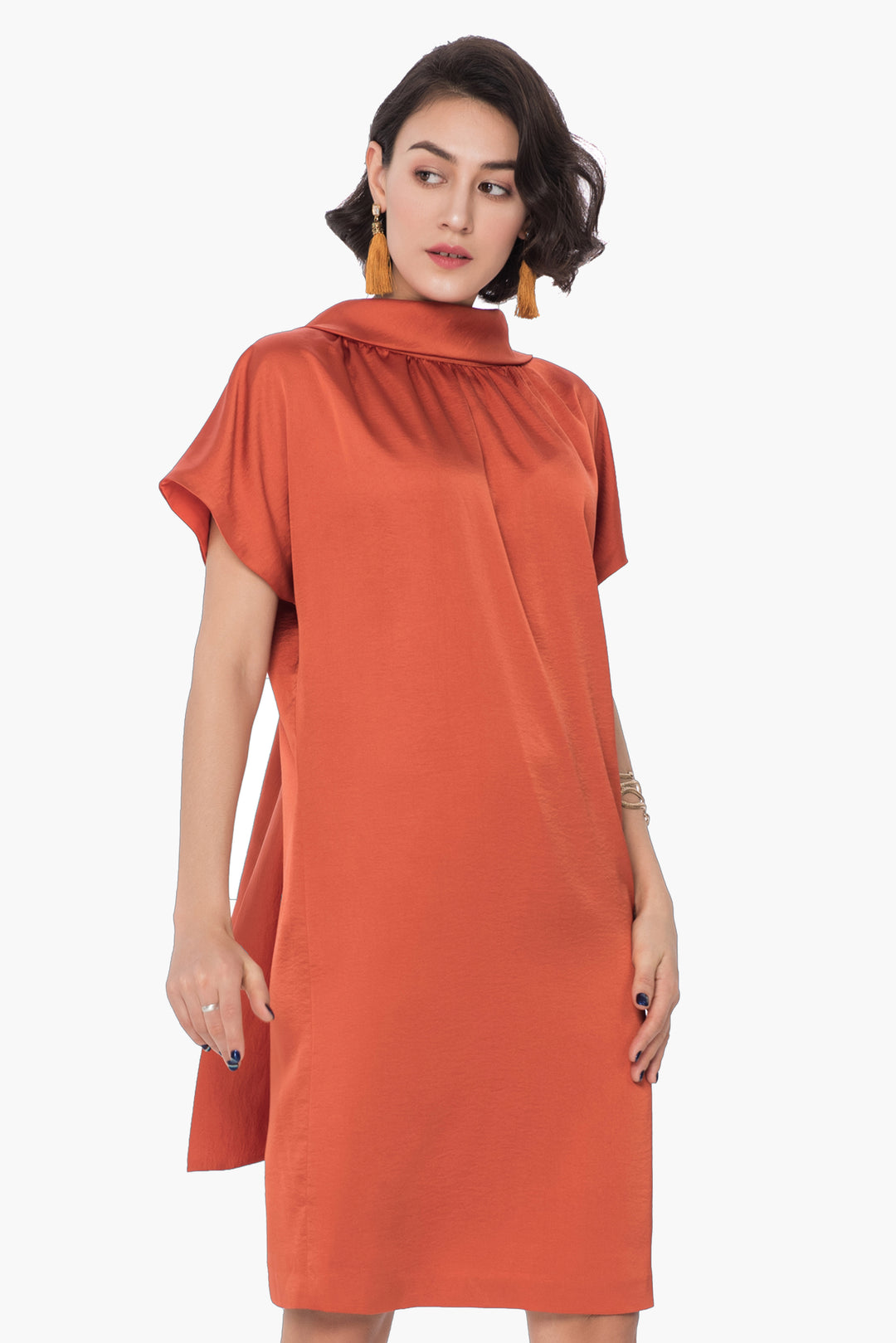 Lined Shift Dress with Back Drop-Collar and Tie