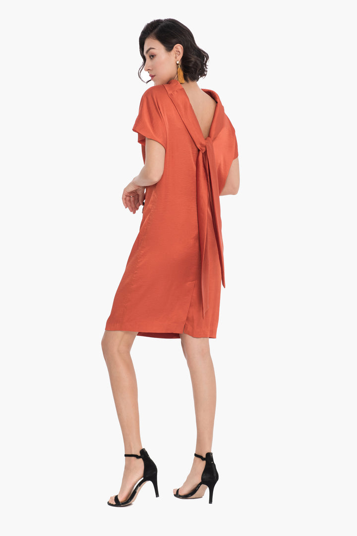 Lined Shift Dress with Back Drop-Collar and Tie